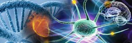 Antimicrobial Coating